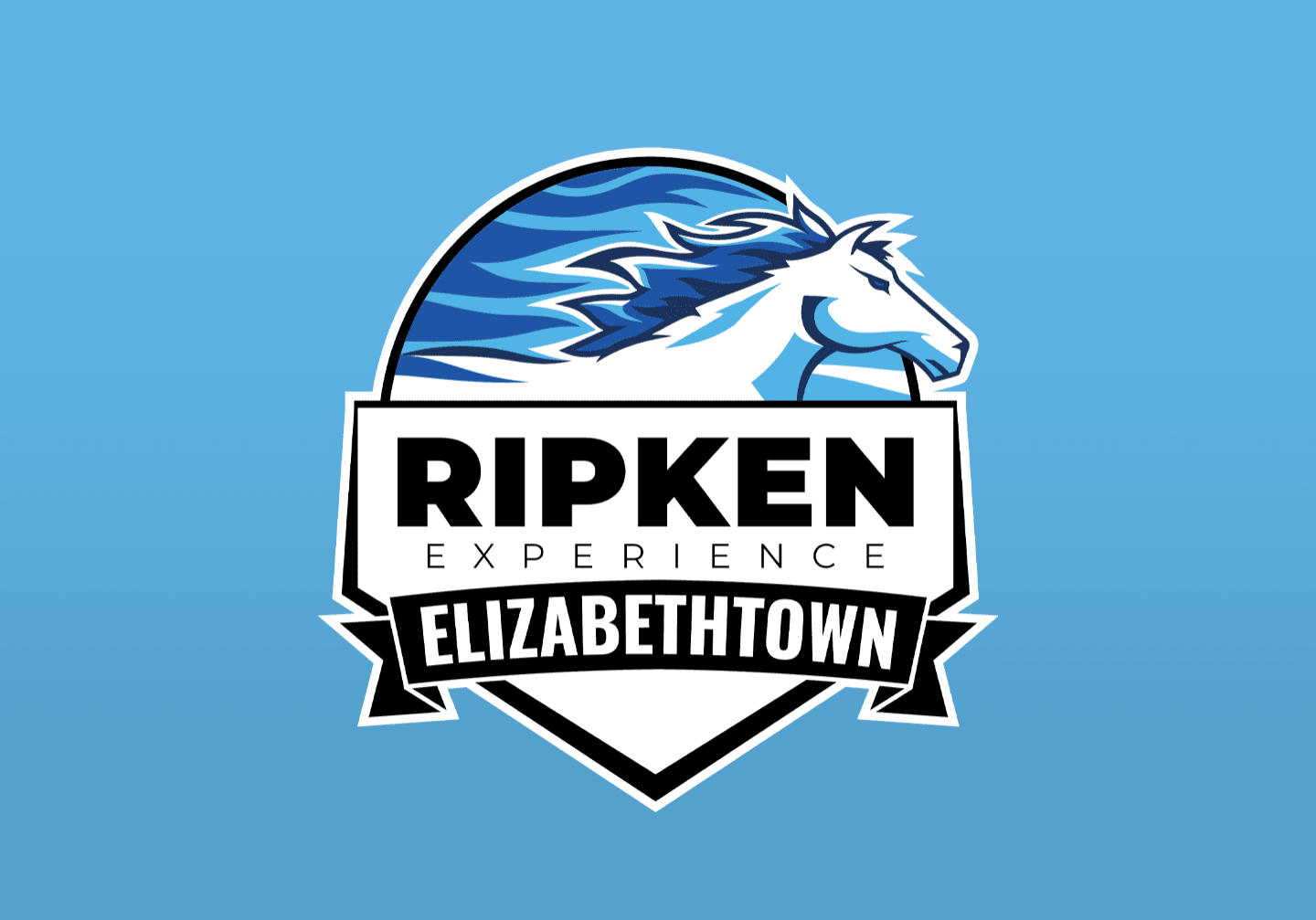 All-Ripken Games — The Ripken Experience